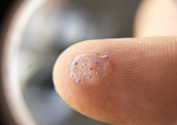 Microplastiche su un polpastrello viste attraverso una lente d'ingrandimento (fonte: MPCA Photos da Flickr) © Ansa