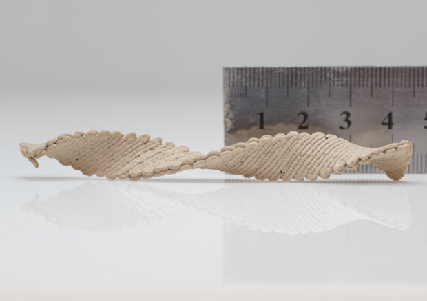 Una struttua a elica stampata in 3D in 'inchiostro di legno' si è automodellata essiccandosi (fonte: Doron Kam) © Ansa