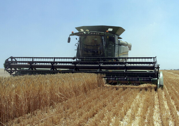 Kiev, causa a Wto contro Polonia, Ungheria e Slovacchia per divieto import grano © EPA