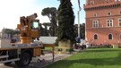 Roma, in piazza Venezia iniziato l'allestimento dell'albero di Natale (ANSA)