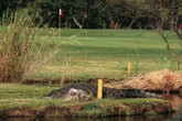 Golf e ambiente, un rapporto molto stretto (ANSA)