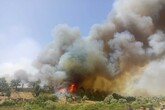 100 ettari di bosco arsi in un incendio a Kairouan in Tunisia (ANSA)