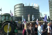 Ambiente, Strasburgo: protesta degli agricoltori fuori dal Parlamento