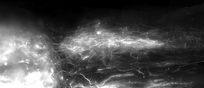 Visualizzazione dei nervi lesionati del midollo spinale in fase di rigenerazione (fonte: EPFL / .Neurorestore)
