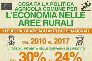 INFOGRAFICA - Cosa fa la politica agricola Ue per l'economia rurale? (ANSA)