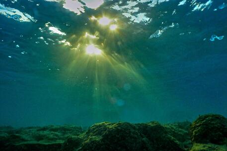 Il Mar Mediterraneo tra aumento temperatura e calo alghe (simbolica, generica, foto subacquea, climate change, emergenza clima) © AFP
