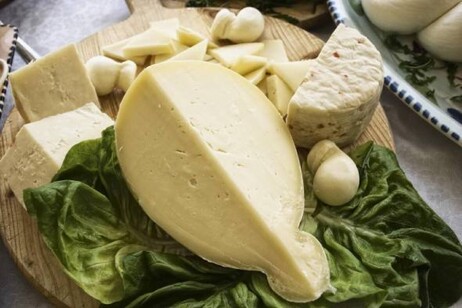 A quota 1 miliardo l'export dei formaggi italiani in Francia