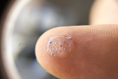 Microplastiche su un polpastrello viste attraverso una lente d'ingrandimento (fonte: MPCA Photos da Flickr)