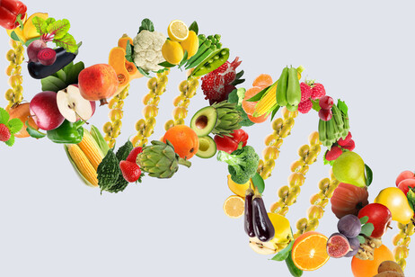 essere vegetariani potrebbe dipendere anche dai geni (Fonte: AYDINOZON da iStock)