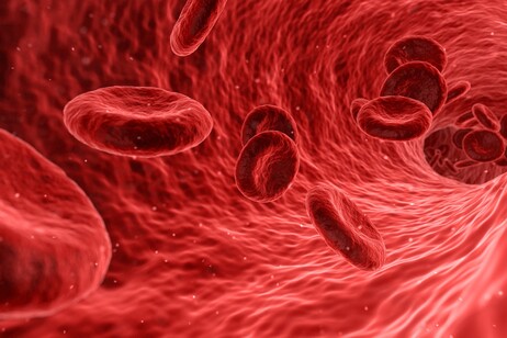 Artist's impression of red blood cells (credit: Wikipedia)
