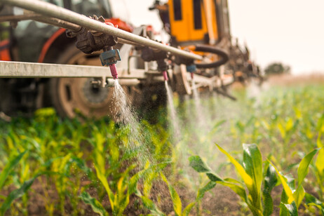 Il Parlamento Europeo respinge la riforma sui pesticidi, il testo torna al Consiglio
