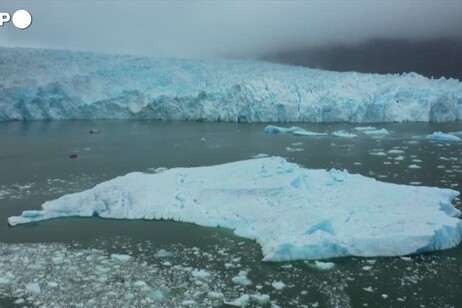 La Terra cambia, nuovi habitat rimpiazzano i ghiacciai
