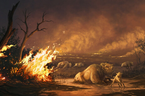 Rappresentazione artistica degli incendi che alla fine dell'ultima Era glaciale hanno provocato l'estinzione di 7 specie di grandi mammiferi (fonte: C. Townsend/Nhmlac)