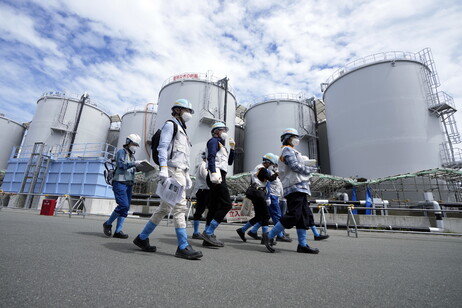 Fukushima: premier del Giappone mangia pesce locale, 'sicuro e squisito'