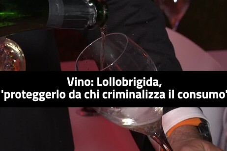 Lollobrigida: "Proteggere il vino da chi ne criminalizza il consumo"