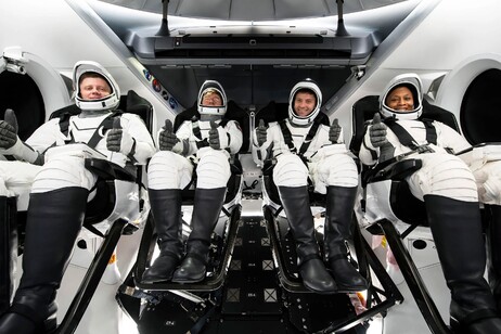 L'equipaggio della missione Crew 8 (fionte: NASA, SpaceX)