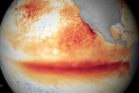 Le temperature di superficie nel Pacifico durante il passaggio di El Niño nell'ottobre 2015 (fonte: NOAA)