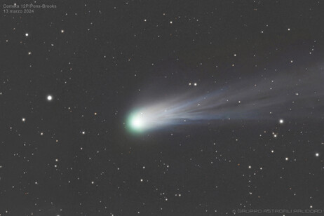 La cometa 12P/Pons-Brooks fotografata il 13 marzo dal Gruppo Astrofili Palidoro (fonte: Paolo Giangreco Marotta, Giuseppe Conzo, Gruppo Astrofili Palidoro)