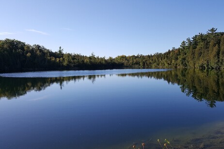 Crawford Lake (fonte: Whpq, da Wikipedia)