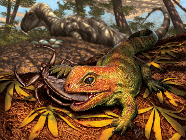 Rappresentazione artistica del rettile simile auna lucertola Opisthiamimus gregori, vissuto circa 150 milioni di anni fa, all'epoca dei dinosauri (fonte: Julius Csotonyi for the Smithsonian Institution)
