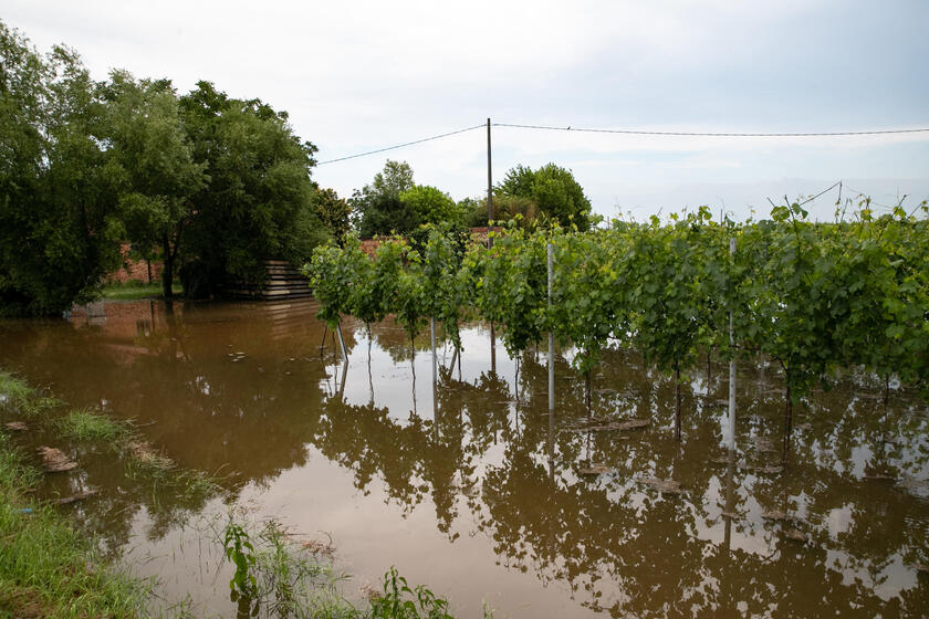 Campi agricoli al ridosso del fiume Santerno completamente devastati dall 'alluvione di un mese fa, Sant 'Agata Sul Santerno (Ravenna) - RIPRODUZIONE RISERVATA