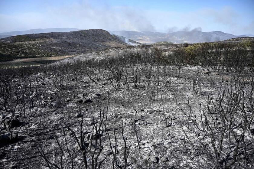 Incendi in Grecia © ANSA/AFP