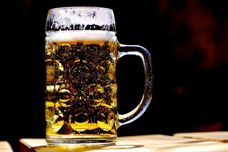 Birra più gustosa con un  'ritocchino ' al Dna del lievito (fonte: Pixabay) - RIPRODUZIONE RISERVATA