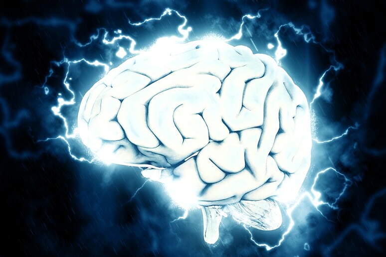 Durante l’emicrania i neuroni sono meno attivi, ma allo stesso tempo riescono a sincronizzarsi in modo più veloce, portando a una risposta eccessiva della corteccia visiva (free via pixabay) - RIPRODUZIONE RISERVATA