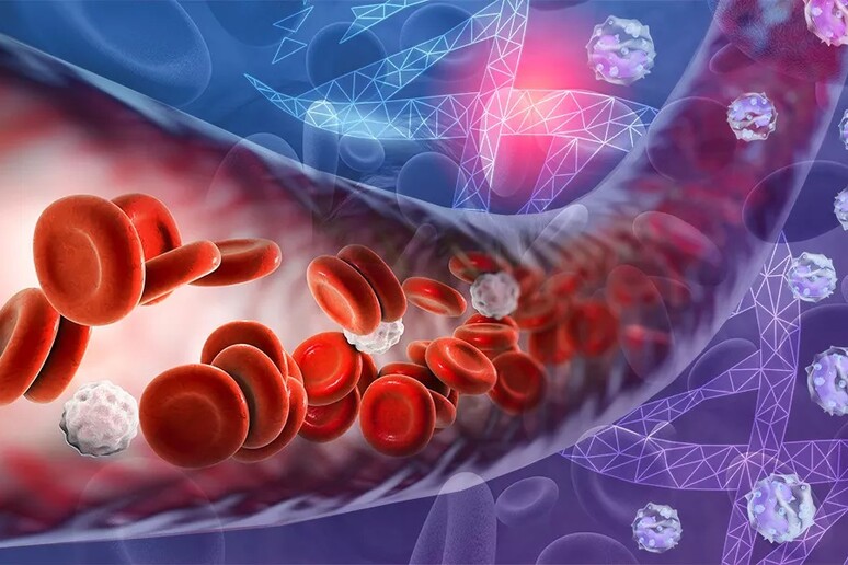 Sangue umano filtrato da un fegato geneticamente modificato (fonte: Karen Arnott/EMBL) -     RIPRODUZIONE RISERVATA