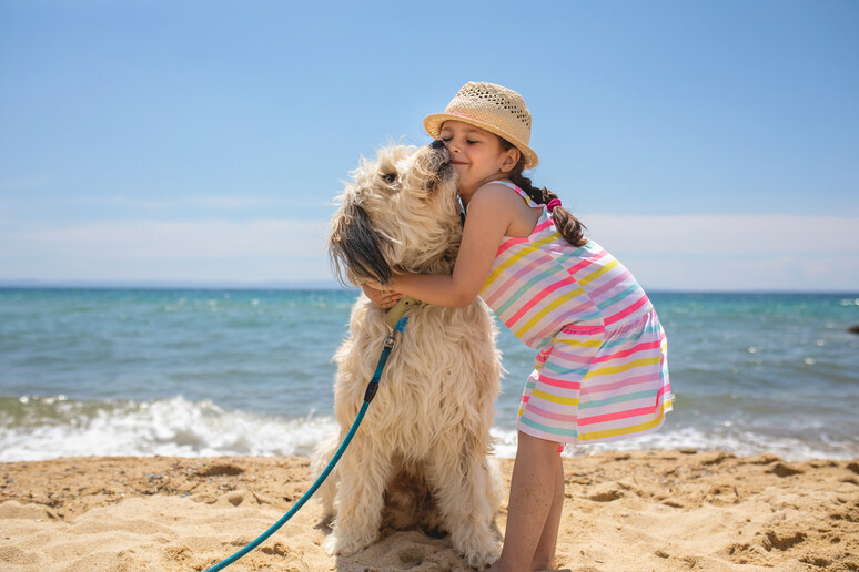 Una bambina abbraccia il suo cane in riva al mare foto iStock. - RIPRODUZIONE RISERVATA