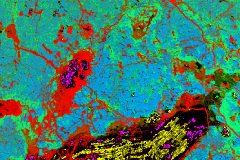 La composizione dei minerali nel campione del meteorite esaminato: la lonsdaleite in giallo, diamanti tradizionali in rosa, ferro in rosso, silicio in verde e magnesio in blu (Fonte: Nick Wilson) - RIPRODUZIONE RISERVATA