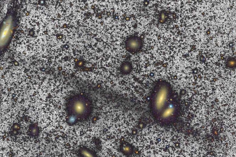 La striscia nera è il flusso di stelle che corre tra le galassie, visibili in giallo (fonte: William Herschel Telescope/Roman et al.) - RIPRODUZIONE RISERVATA