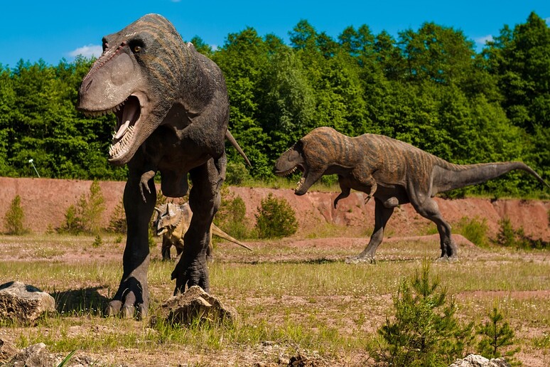 I T-rex vissuti sulla Terra sono stati complessivamente 1,7 miliardi (fonte: Pixabay) - RIPRODUZIONE RISERVATA
