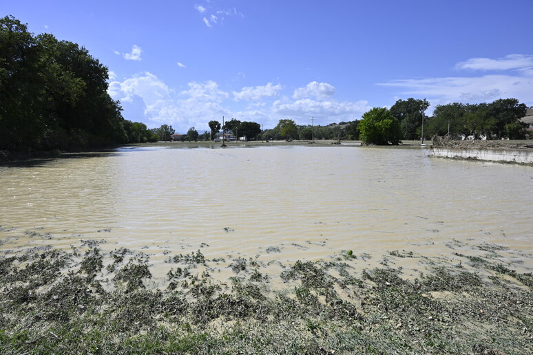 Effetti dell 'alluvione a Pianello di Ostra - RIPRODUZIONE RISERVATA