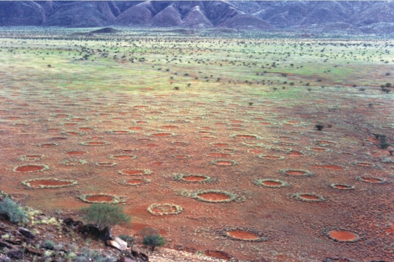 Cerchi delle fate in Namibia (fonte: Stephan Getzin, Wikipedia) - RIPRODUZIONE RISERVATA