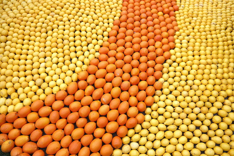 Dalla ricerca nuove arance anti-siccità e lunga vita ai succhi © ANSA/EPA